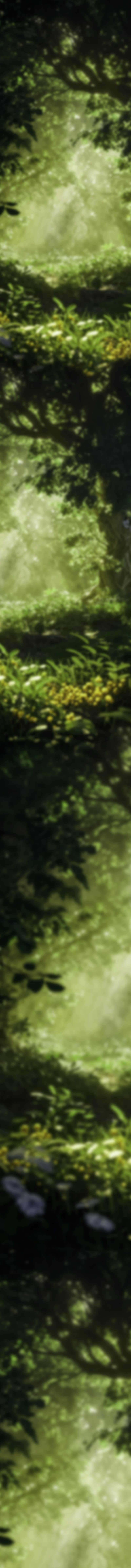 Forest background